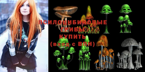 соль ск Иноземцево