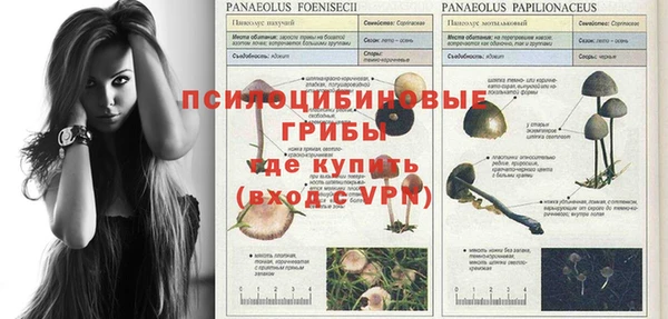 соль ск Иноземцево