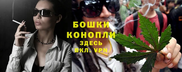 СК Кущёвская