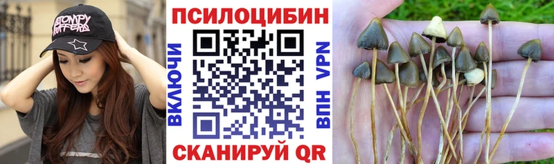 Купить  Темрюк  Галлюциногенные грибы мухоморы 